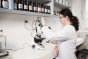 Univerzita Komenského v Bratislave hľadá cesty, ako sa otvárať svetu: Privíta trinásť postdoktorandov zo svetových univerzít