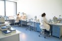 Získali sme značku HR Excellence in Research