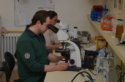 Na projekty VEGA a KEGA bude viac peňazí 