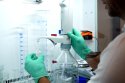 Na SPU otvorili nové Centrum pre agrobiológiu a aplikovanú biológiu. Moderné technológie odhalia aj skryté poruchy plodnosti zvierat