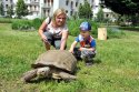 V skleníkoch Botanickej záhrady kraľujú hady, jaštery a korytnačky