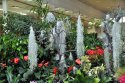 Návštevníkov Gardenie zaujala Botanická záhrada aj expozícia FZKI v OC Centro
