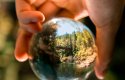 Do projektu Vyšehradské zelené univerzity je zapojená aj Slovenská poľnohospodárska univerzita v Nitre