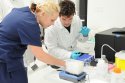 Nech žije veda! Jedinečná letná škola pre študentov biológie a biotechnológií