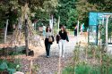 Hlasujte za projekt Botanickej záhrady Lesné hry v permakultúre